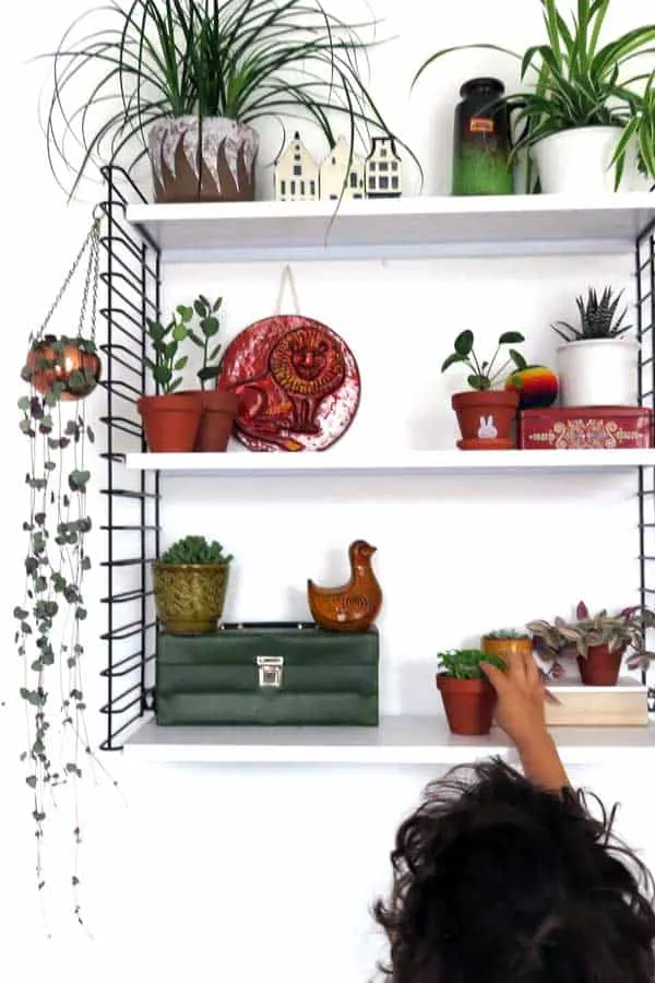 Young kid seen from the back of his head reaching up to touch a plant on a shelf filled with plants and vintage pottery.