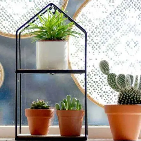 DIY embroidery hoop window sun diffusers for your plants