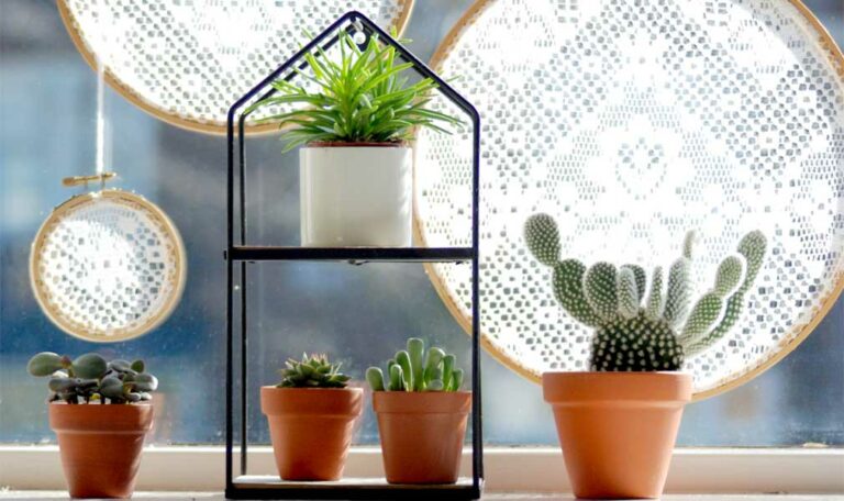 DIY embroidery hoop window sun diffusers for your plants