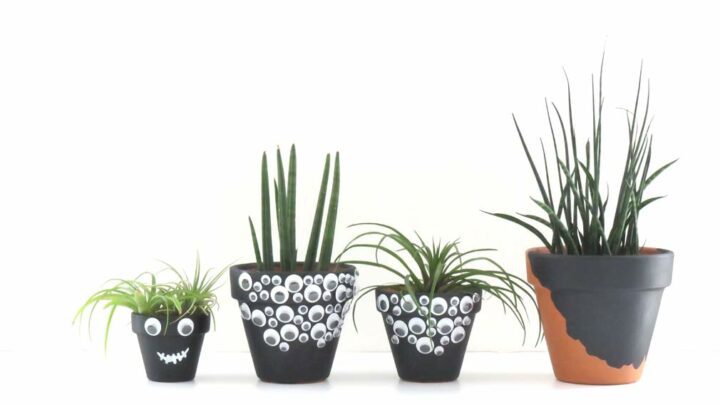 Image for DIY Halloween Googly Eye Planter Pots | with Video