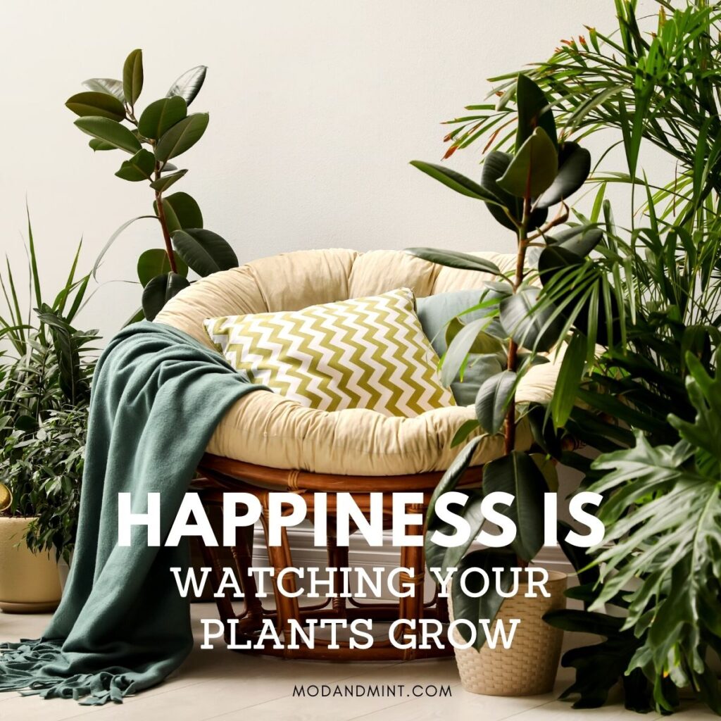 motor fragment Attent 20+ Funny and Inspirational Plant Quotes and Plant Care Tips!