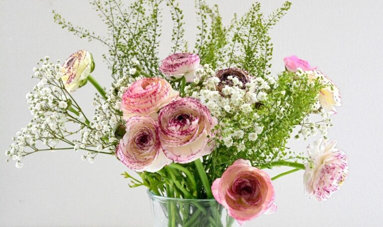 Bouquet of fresh cut flowers in pink and white.