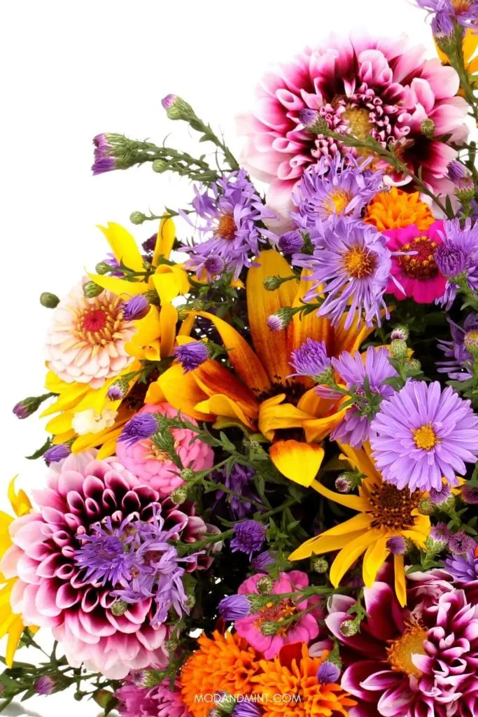 Close up photo of pink, purple and yellow fresh cut flowers.