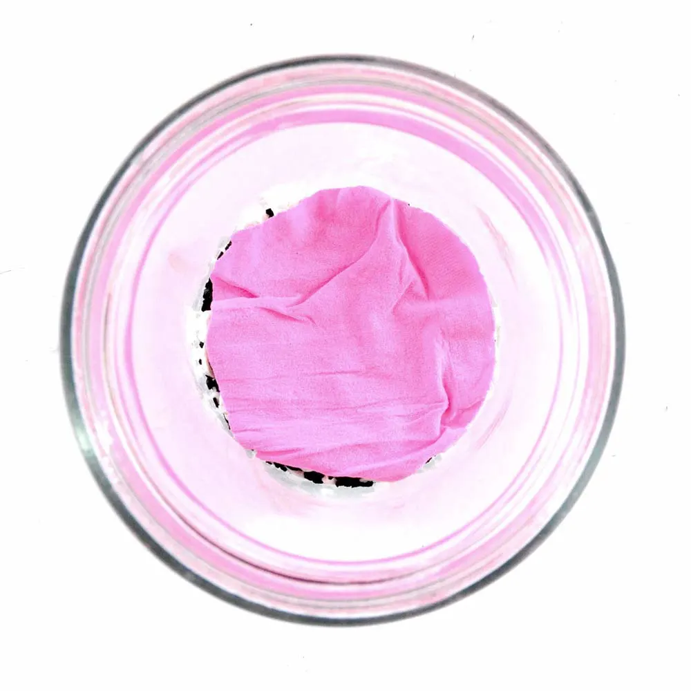 Hot pink stocking cut into a circle on top of charcoal and pebbles inside a glass terrarium container, photographed from above.