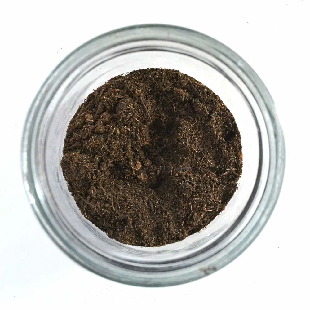 Soil inside glass terrarium container photographed from above.