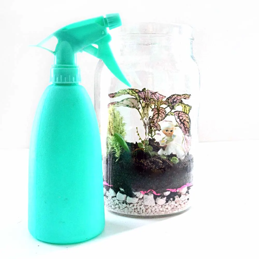 Plant terrarium with green water mister spray next to it.