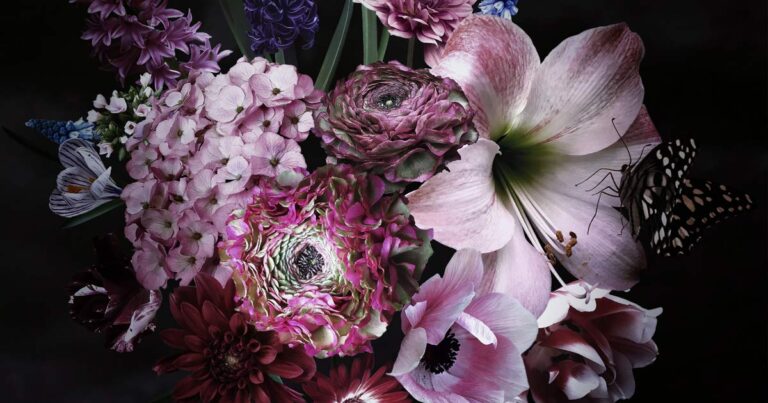 Moody bouquet of pink hued flowers on a black background.